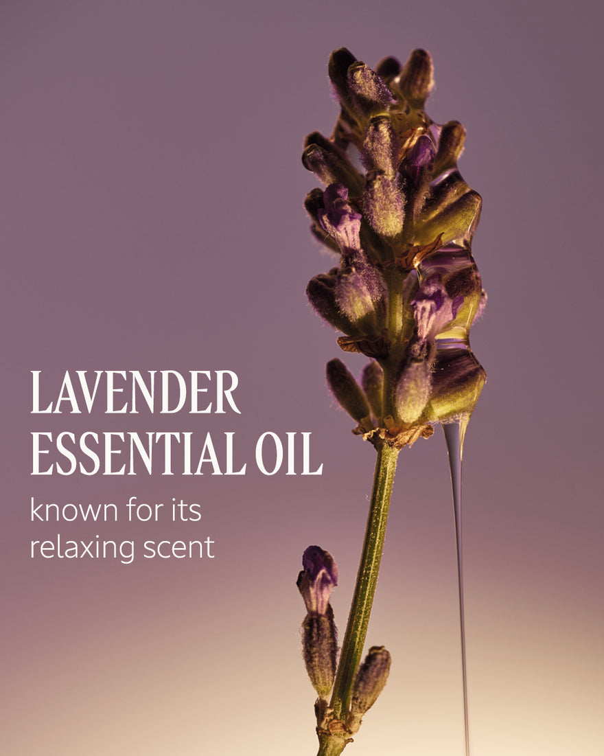 Le Savon Shea Lavender Extra-Gentle Body Soap - 3.5 oz