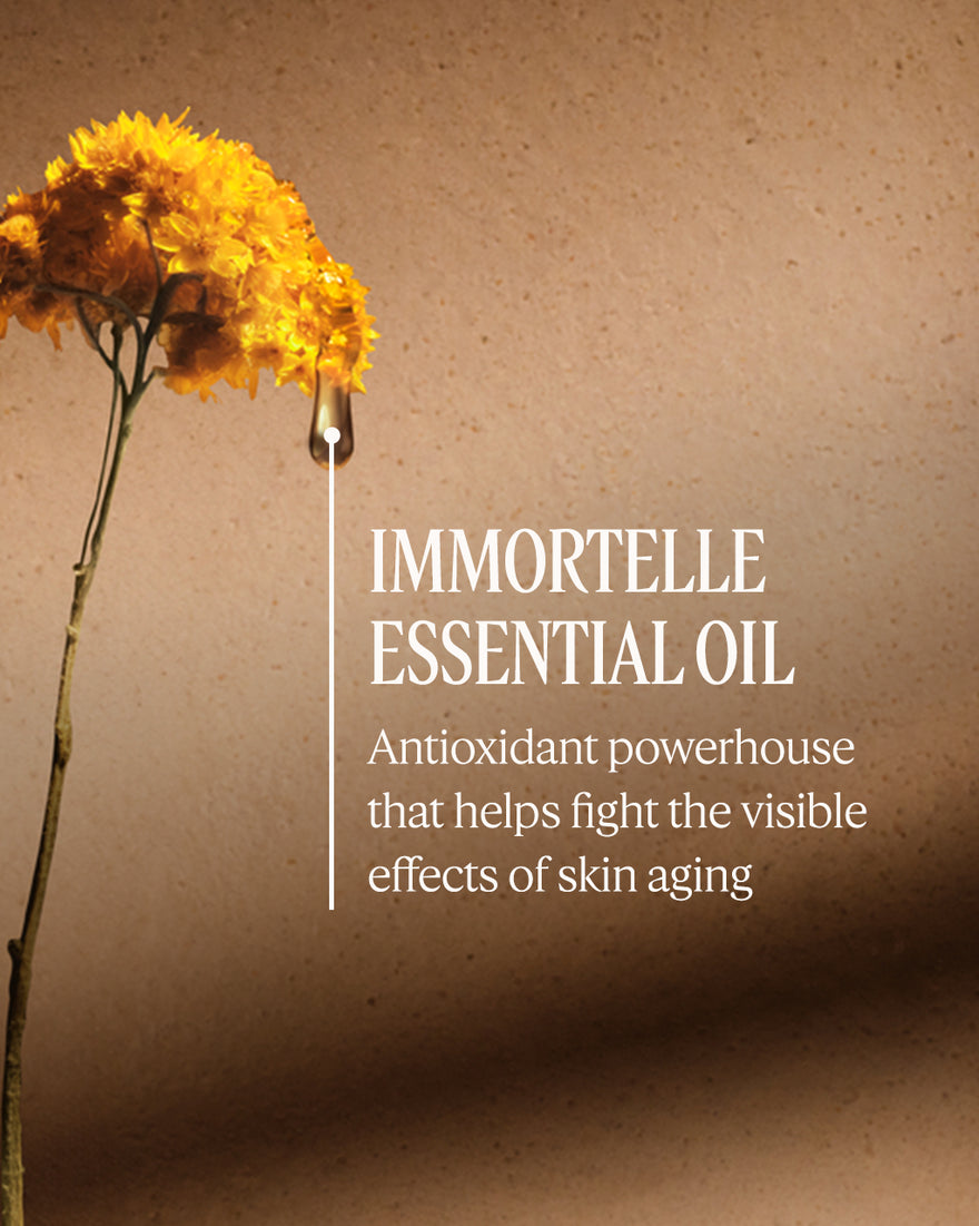 Immortelle Shea Body Balm - 6.9 oz