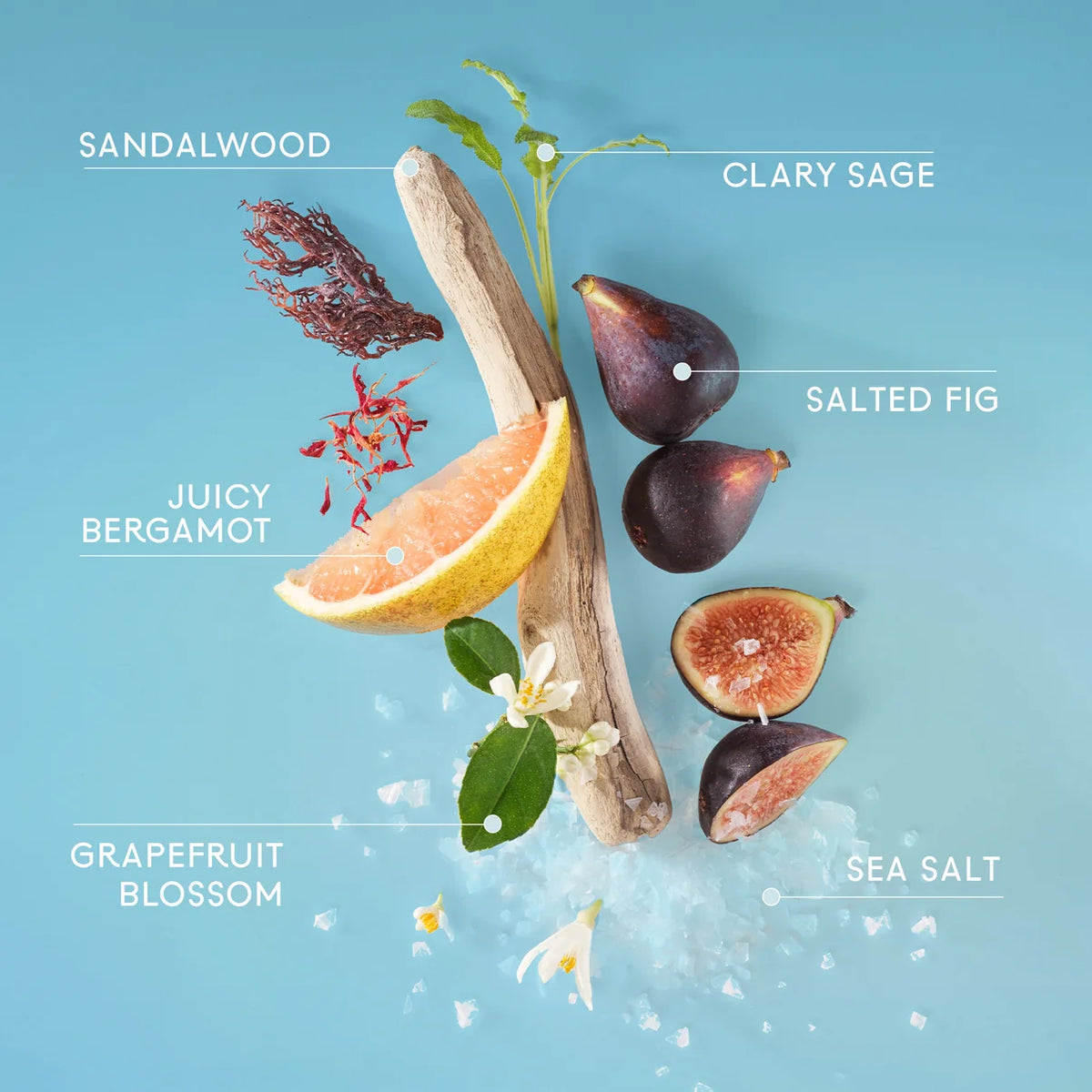 333 Sheer Fig + Salt Hair + Body Mist