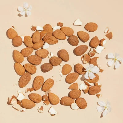 Almond Delightful Body Balm - 3.4 oz
