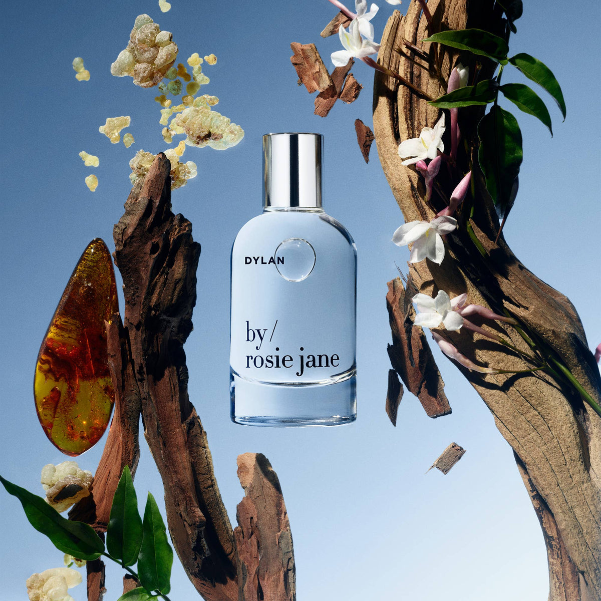 DYLAN Eau de Parfum with bergamot
