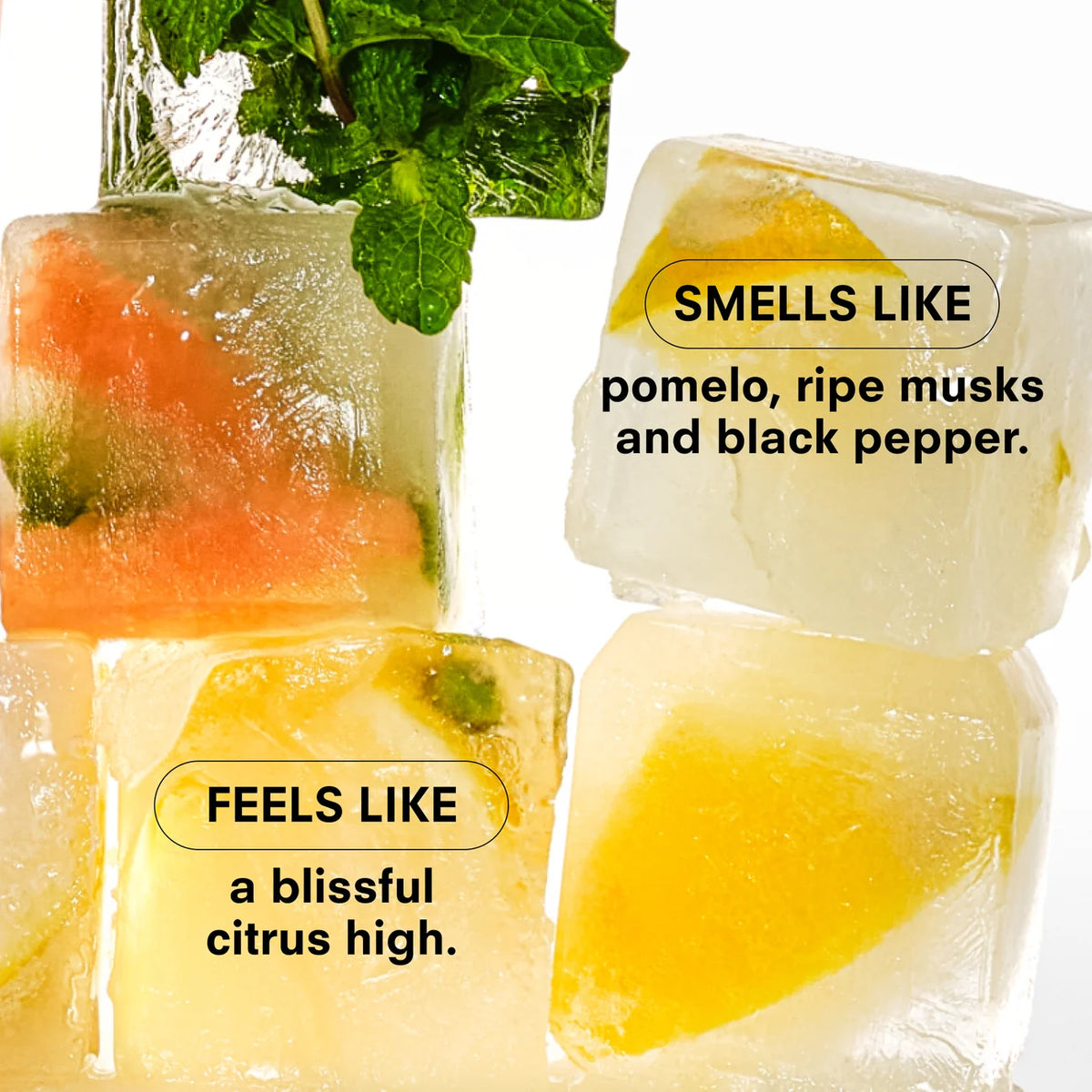 Citrush 8.5oz Candle - LTD Edition