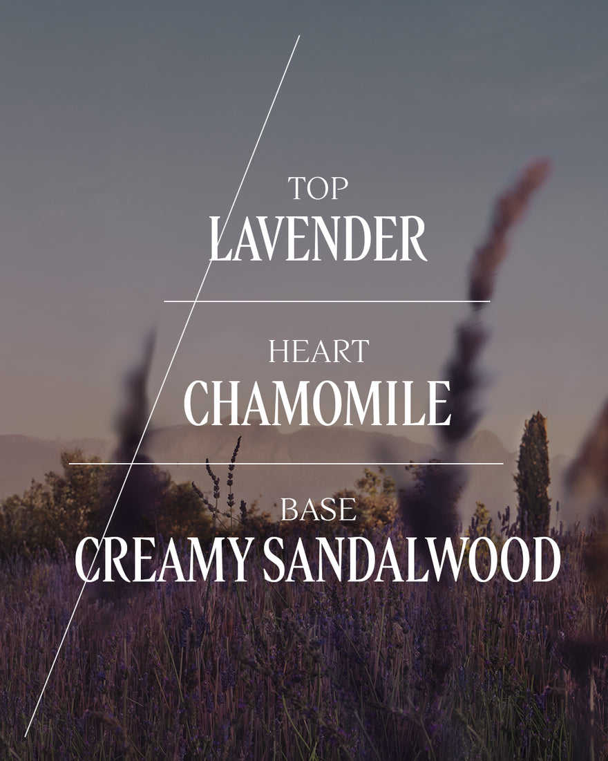 Lavender Shower Gel - 8.4 oz