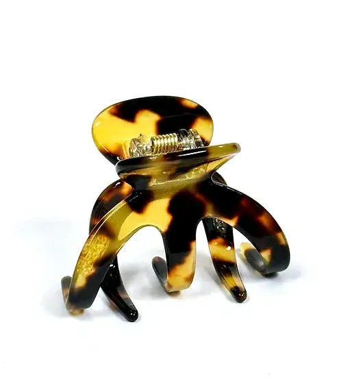 Allie Jaw Italian Acetate